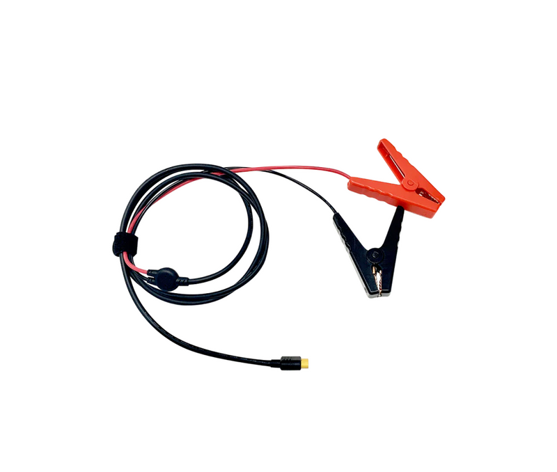 Chargez l'image dans la visionneuse de la galerie, Chargeur de batterie de voiture intelligent EcoFlow 12 volts / 24 volts
