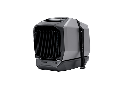 EcoFlow WAVE 2 Stabilisierungsgurt-Kit