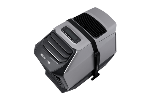 EcoFlow WAVE 2 Stabilisierungsgurt-Kit